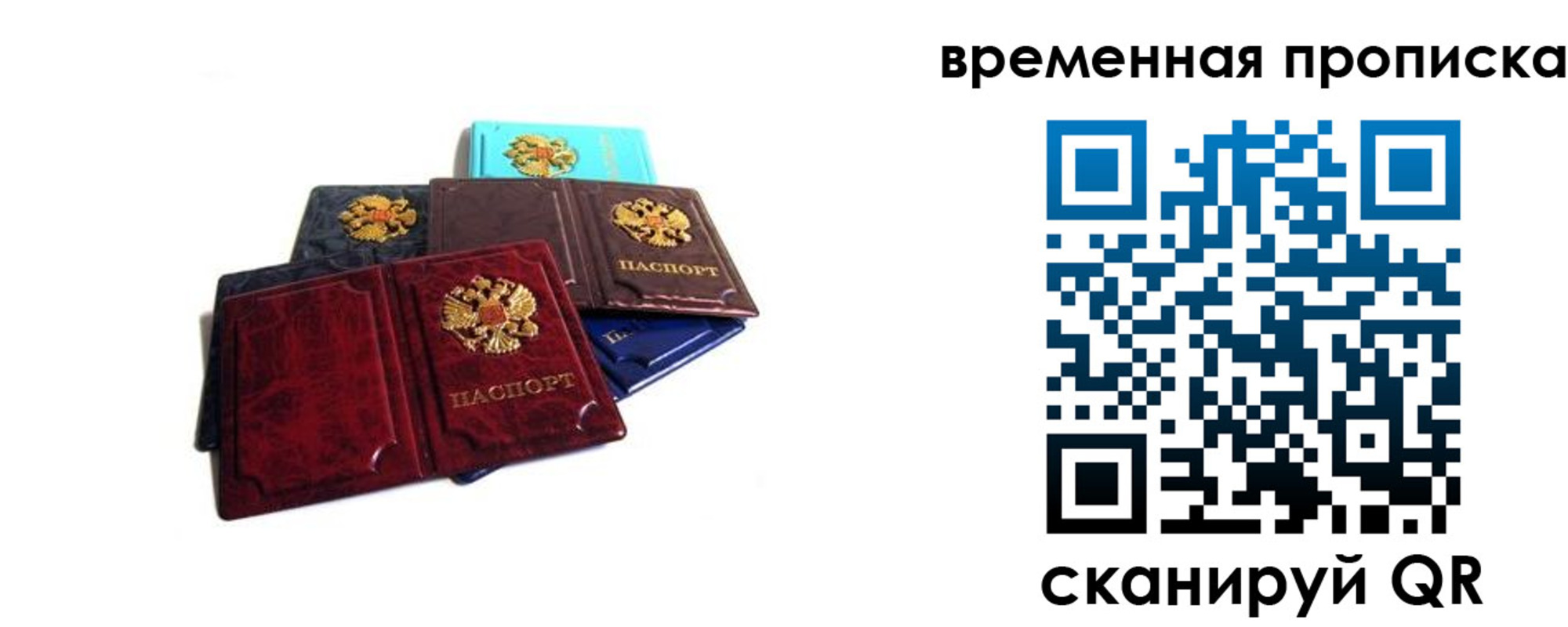 прописка законно в Елизово